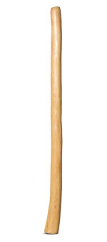 Medium Size Natural Finish Didgeridoo (TW1238)